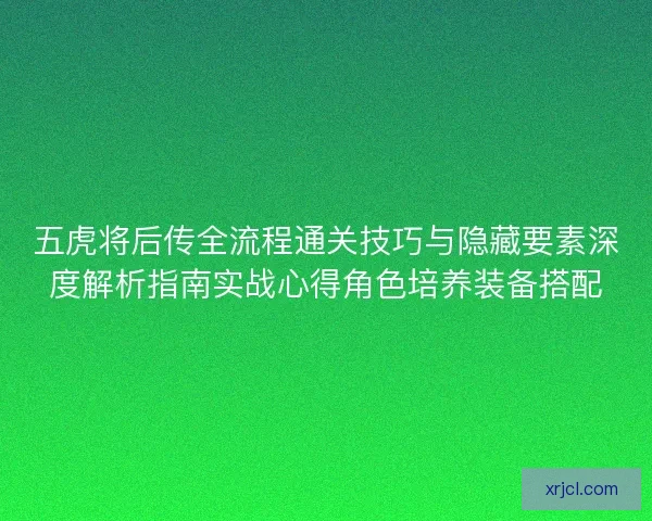 五虎将后传全流程通关技巧与隐藏要素深度解析指南实战心得角色培养装备搭配