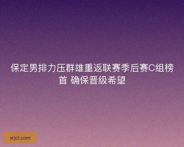 保定男排力压群雄重返联赛季后赛C组榜首 确保晋级希望